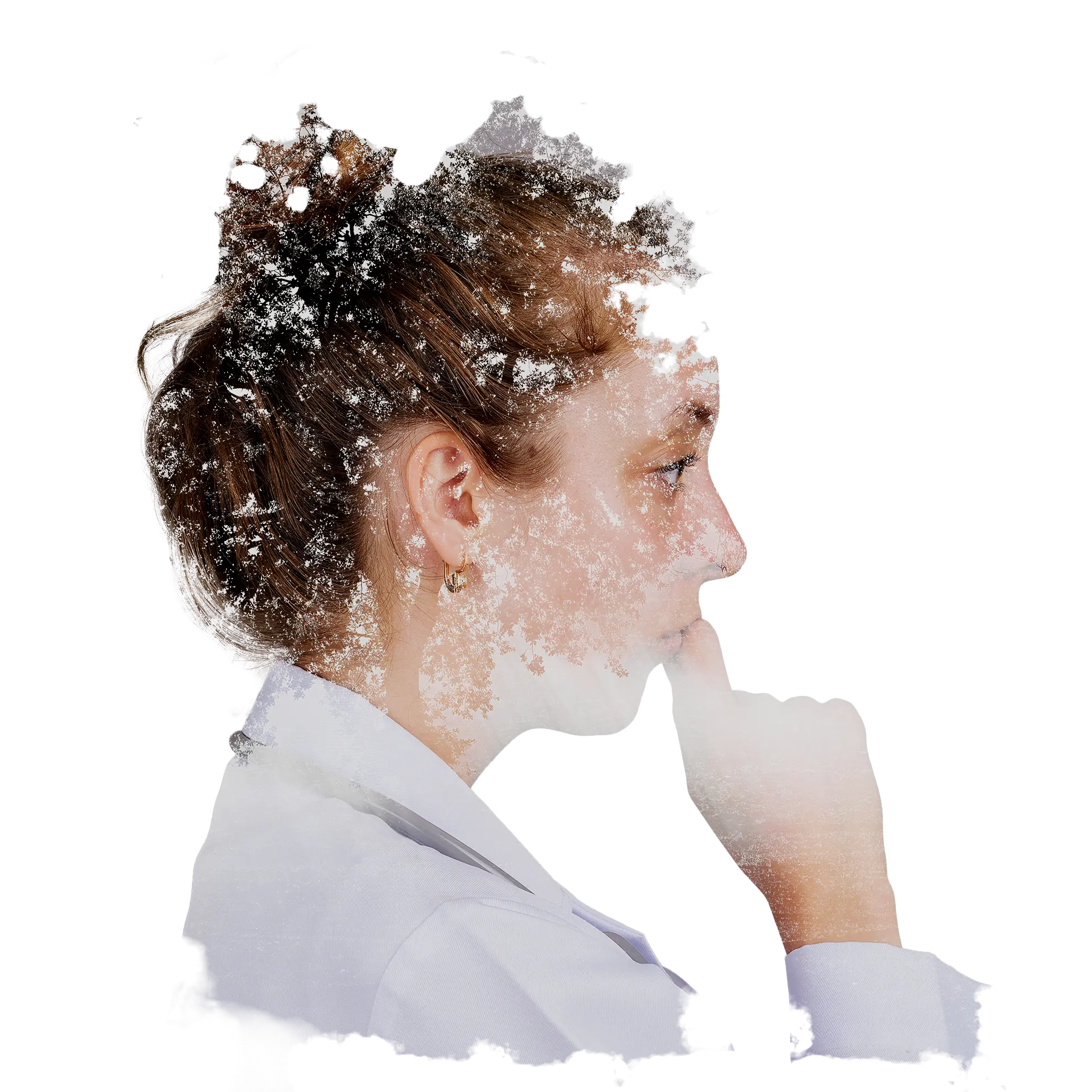 Einzelcoaching - Executive Business Coaching