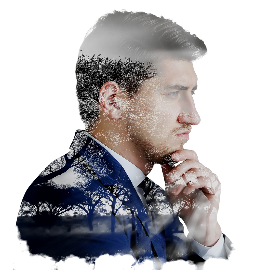 Analyse - Team Engagement &amp; Productivity