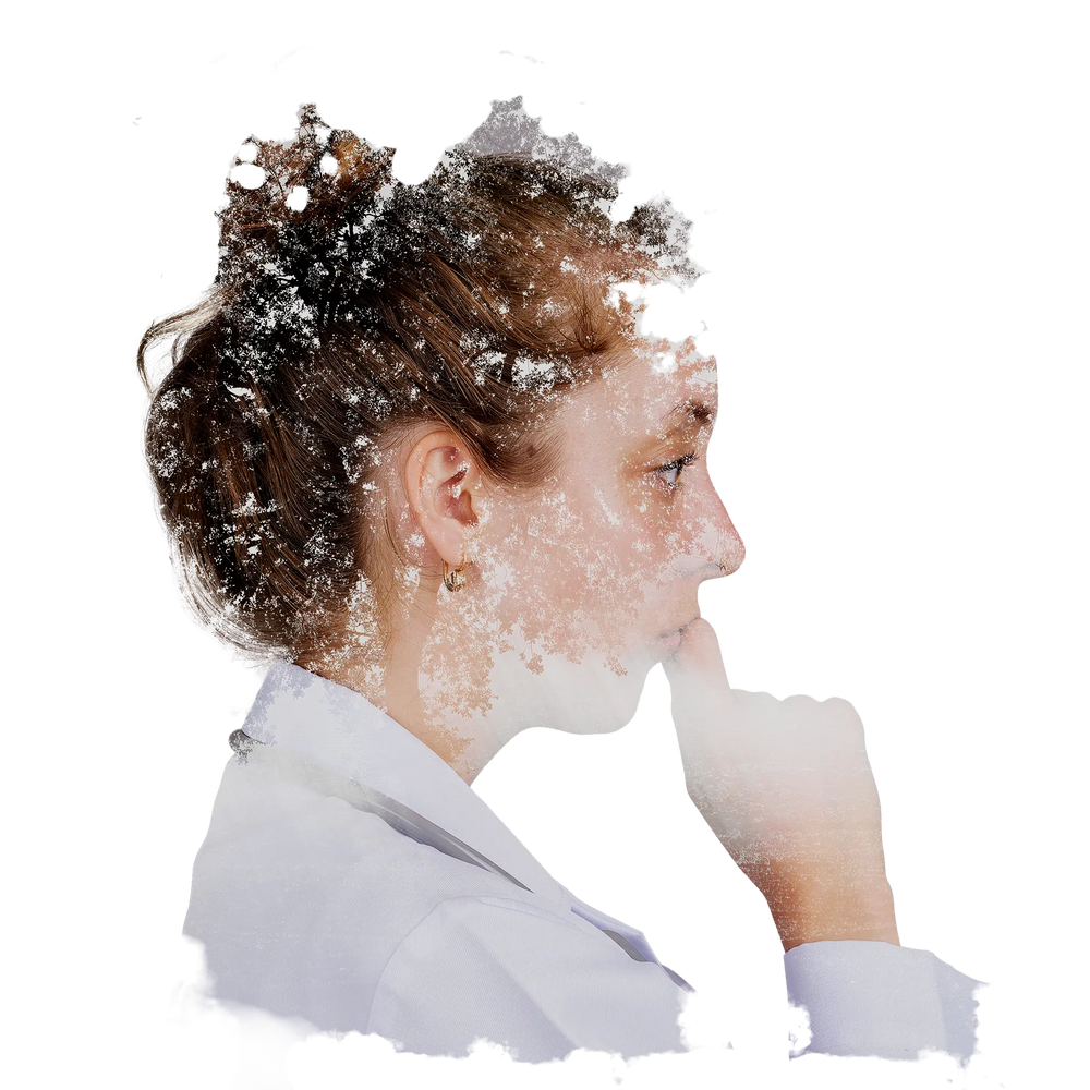 Individual Coaching - Executive Business Coaching