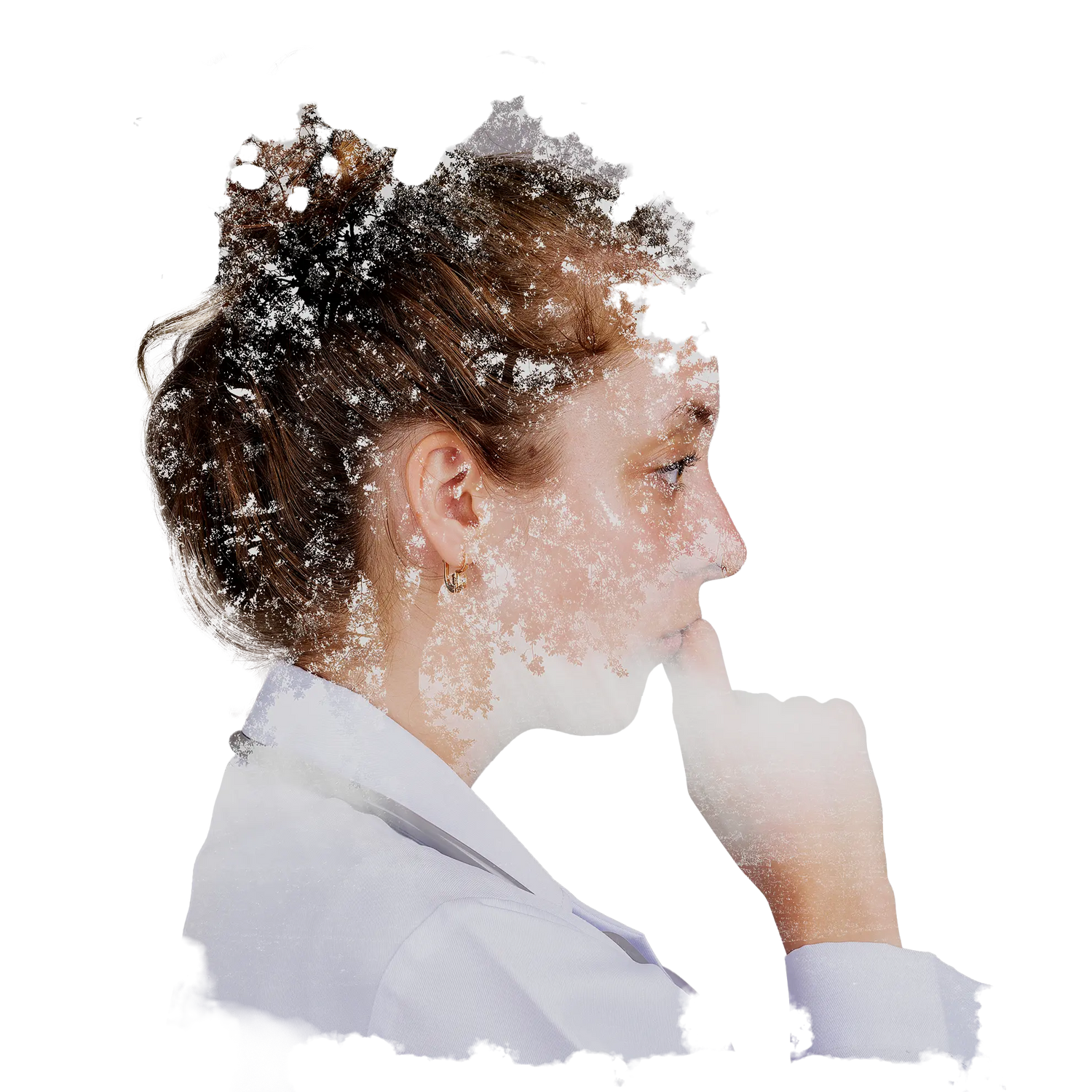 Einzelcoaching - Executive Business Coaching